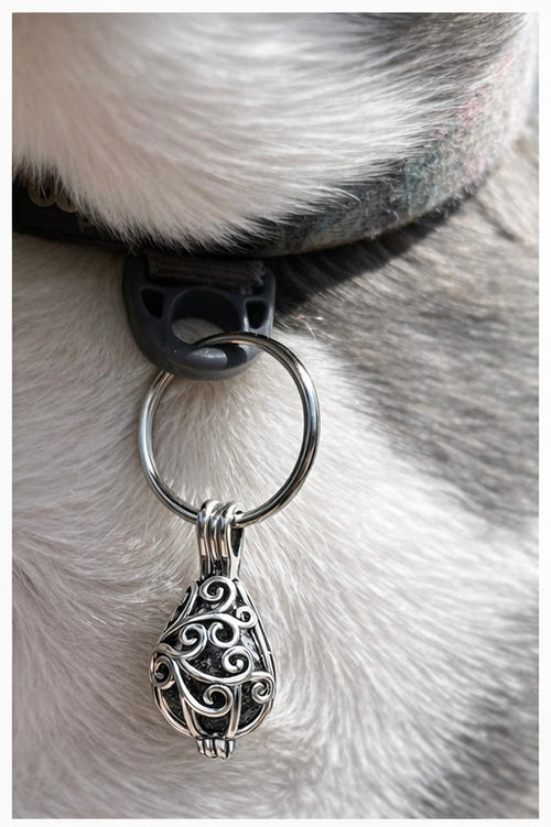 CHILL DOG CALMING OIL