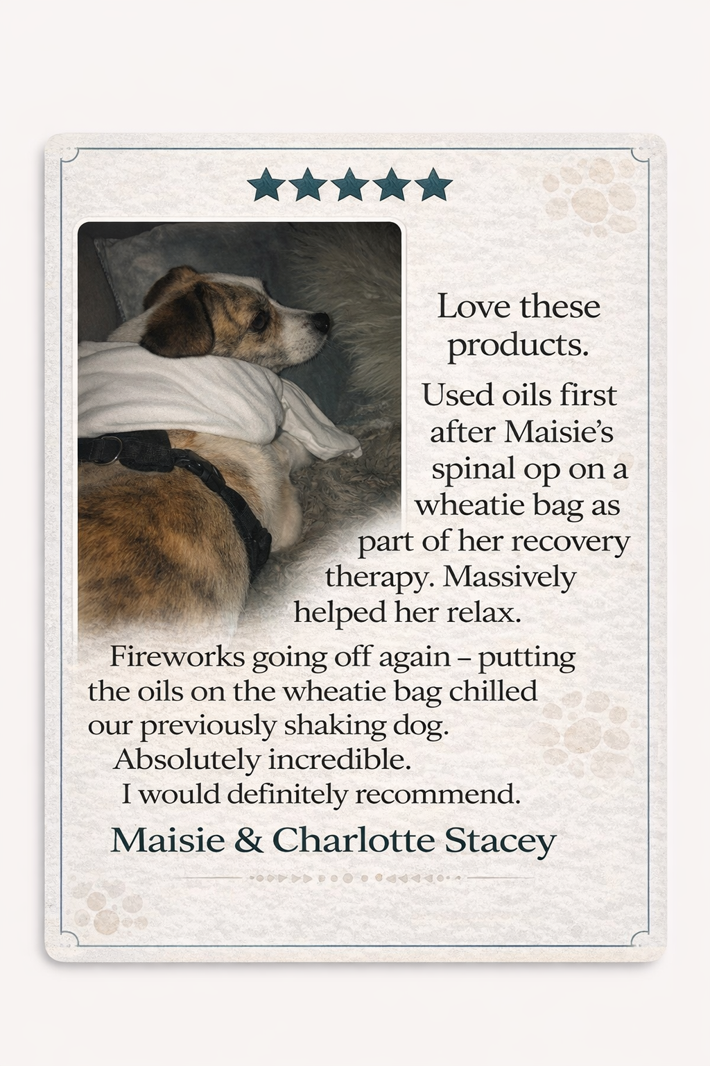 CHILL DOG CALMING OIL