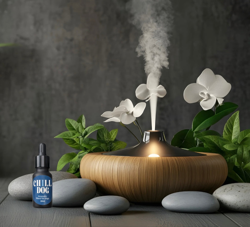 CHILL DOG CALMING OIL